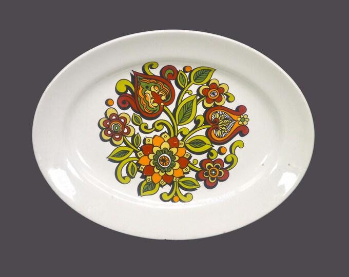 Retro vintage English Ironstone Pottery Tanya oval platter made in England.