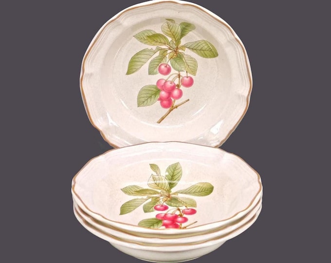 Four Mikasa Bon Apetit rimmed stoneware soup bowls. Garden Club Stoneware made in Japan.