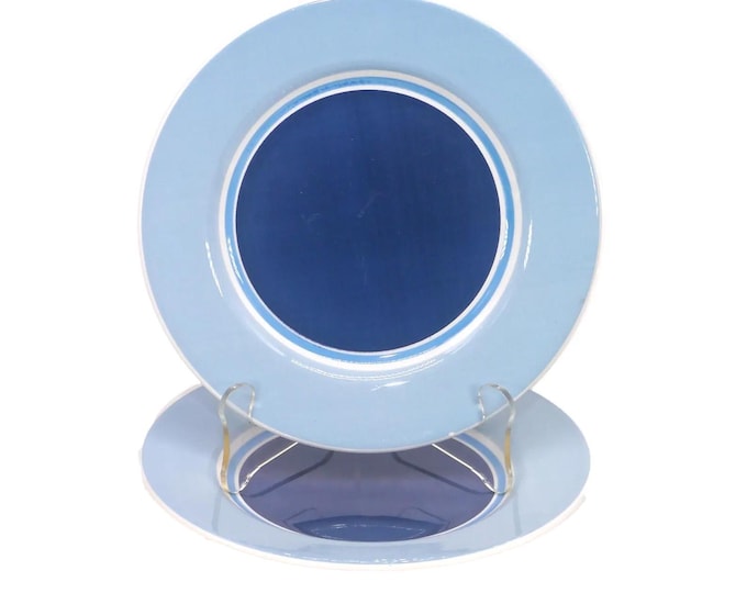 Pair of Pier 1 Marea salad plates made in Italy. Blue and white. Flaw (see below).