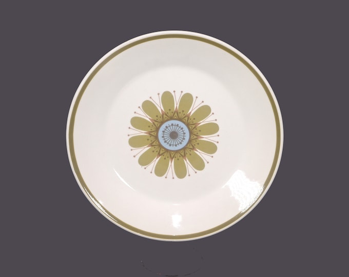 Retro J&G Meakin Galaxy dessert, cake, pie plate. Boho flower-power tableware made in England. Sold individually.