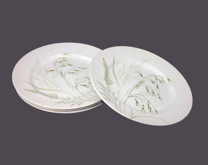 Four English Ironstone Tableware Wild Oats dinner plates made in England.