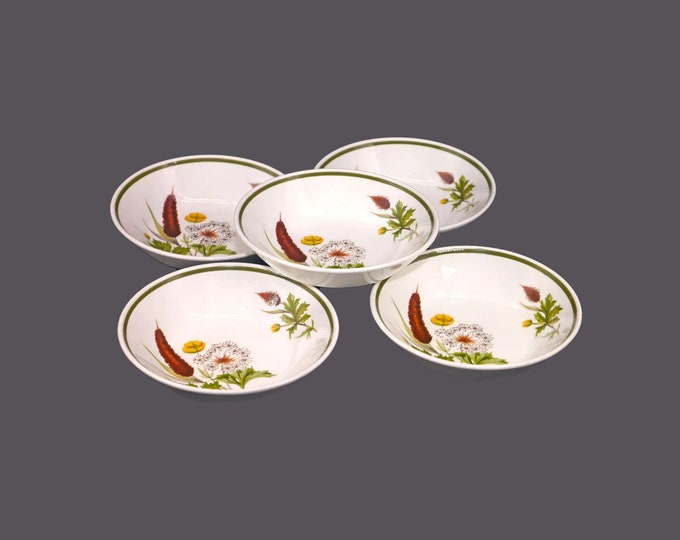 Five Johnson Brothers Brookside fruit nappies, dessert bowls made in England.