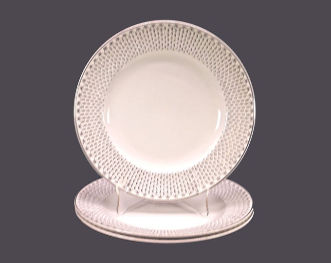 Three Washington Pottery Silver Rain dinner plates made in England.