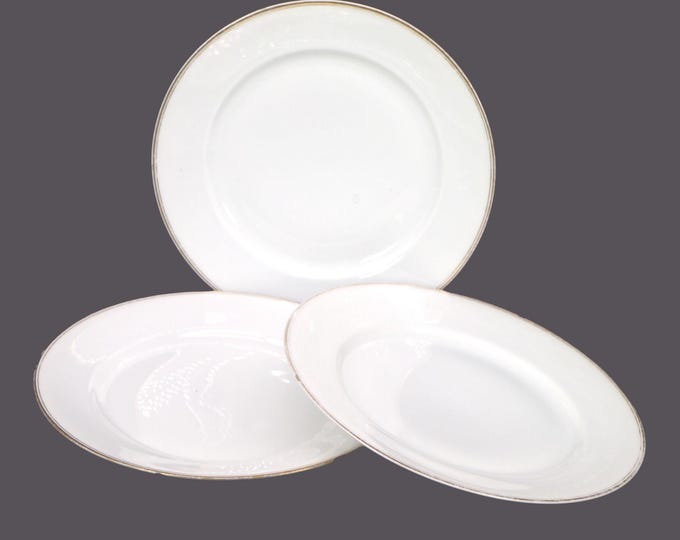 Antique MZ Austria Altrohlau A-1936 salad plates. Set of 3. Flaws.