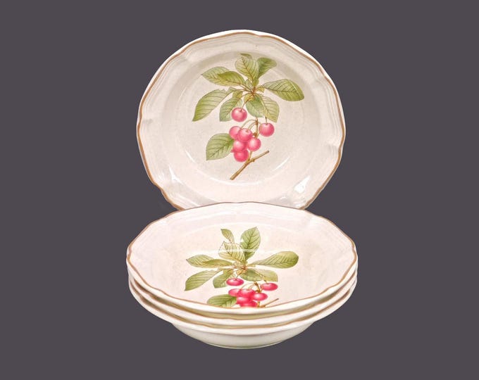 Four Mikasa Bon Apetit rimmed stoneware soup bowls. Garden Club Stoneware made in Japan.