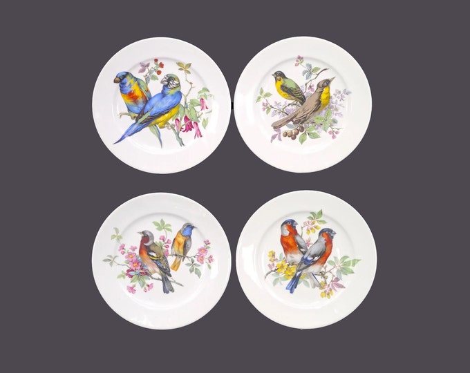 Four Schumann Arzberg Song Birds salad plates. Multi-motif birds on white. Made in Germany.
