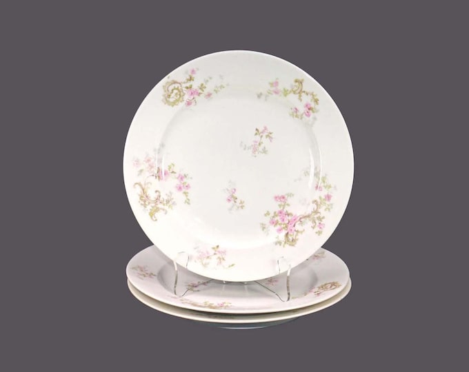 Three almost antique Theodore Haviland Limoges Schleiger 29A Pink Spray | Lucille-like dinner plates.