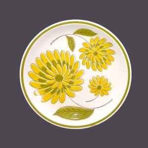 Mikasa Tampa retro flower-power large, stoneware dinner plate. Cera-Stone stoneware made in Japan. Flaw (see below).