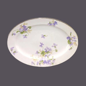 Charles Ahrenfeldt Limoges AHR1082 oval platter made in France. Minor flaws (see below).