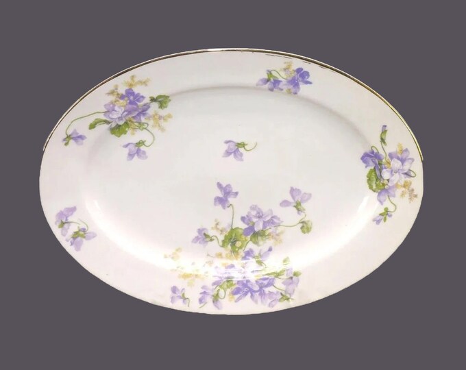 Charles Ahrenfeldt Limoges AHR1082 oval platter made in France. Minor flaws (see below).