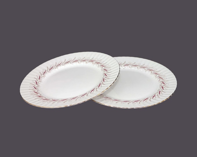 Vintage Paragon Harmony Red bone china dinner plates made in England. 2 plates.