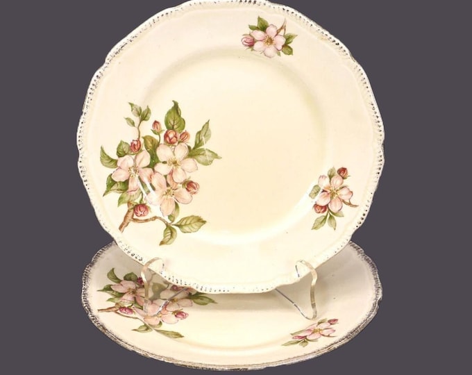 Pair of Royal Swan Blossomtime salad plates made in England.
