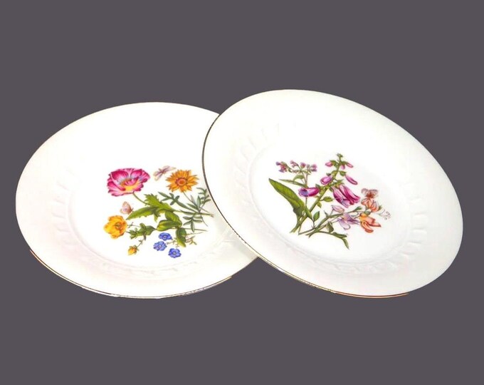 Pair of Josef Kuba Weisau JKW39 salad or dessert plates. Multicolor florals, butterflies. Made in Bavaria.