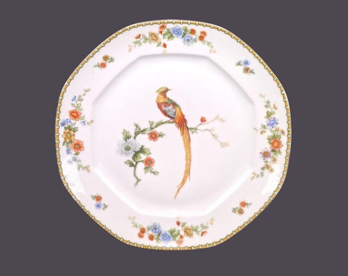Antique Altrohlau | MZ Austria | Zdekauer Golden Pheasant dinner plate. Flaw (see below).