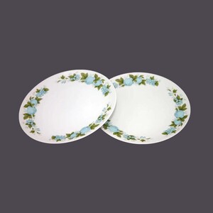 Vintage Noritake Blue Orchard 6695 stoneware salad plates - Japan
