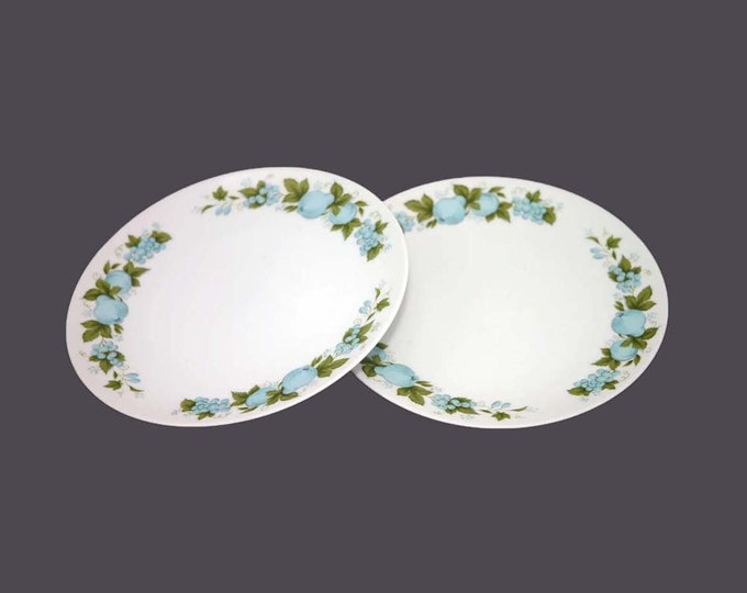 Pair of Noritake Blue Orchard 6695 salad plates made in Japan.