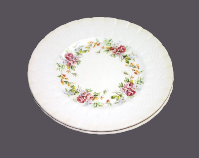 Pair of Simpsons Potters Finsbury salad plates made in England. Flaws (see below).