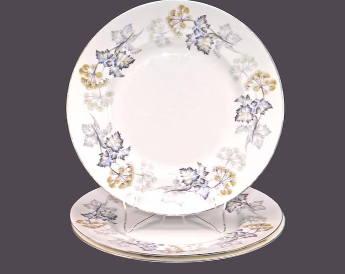 Three Coalport Camelot large dinner plates made in England.
