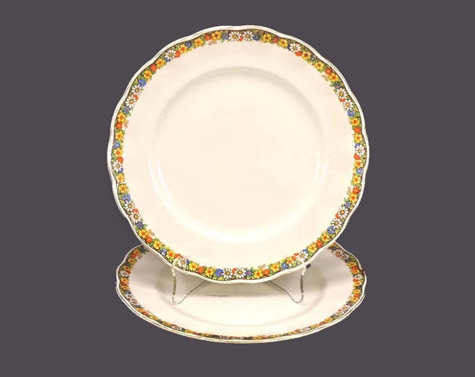 Pair of Grindley Raymond dinner plates. Cream Petal ironstone made in England. Hard to find.