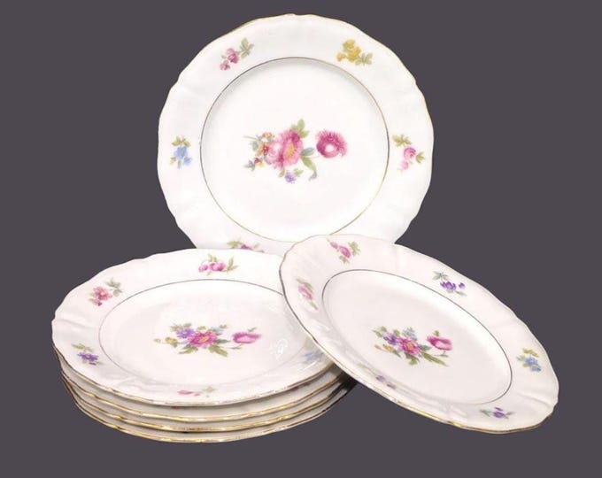 Vintage Winterling WIG729 bread plates made Bavaria. Dresden florals. 6 plates.