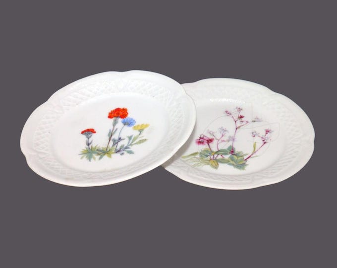 Pair of Louis Lourioux | Deshoulieres Wild Flower canape or dessert plates made in France.