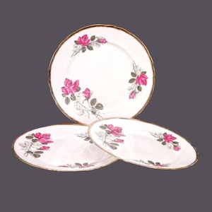 Three Royal Imperial RIM27 dinner plates. Bone china made in England.