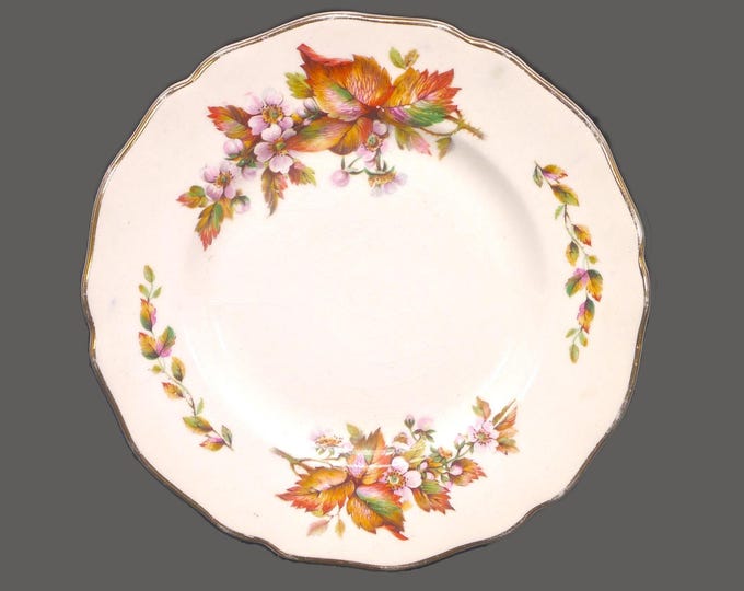 Royal Doulton D6226 Wilton bread plate made in England. Sold individually.