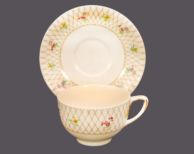 Antique Edwardian Age Johnson Brothers Old English Trellis cup and saucer set.