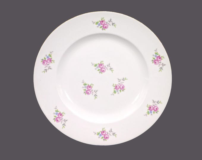 JL Menau | Graf Von Henneberg HEP29 dinner plate made in Germany. Flaw (see below).