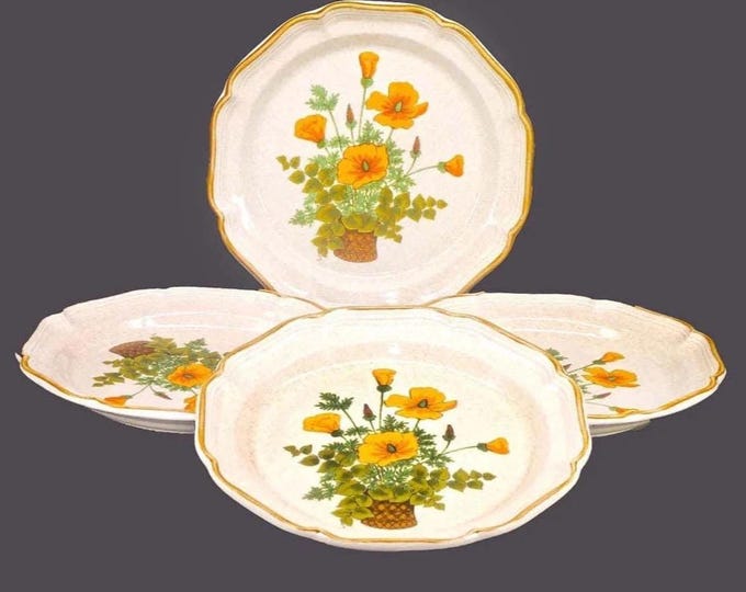 Mikasa Petunias EC401 stoneware dinner plates. Garden Club stoneware Japan. Set of 4.