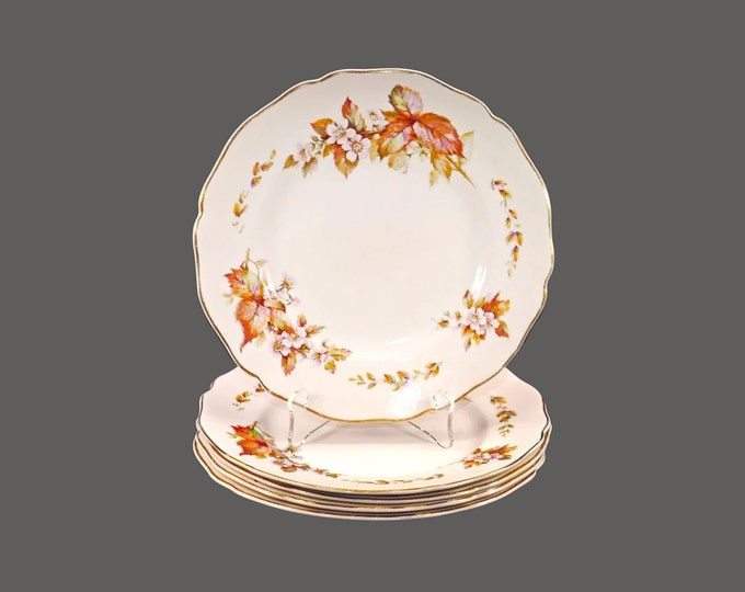 Royal Doulton D6226 Wilton salad plates made in England. Choose quantity below.