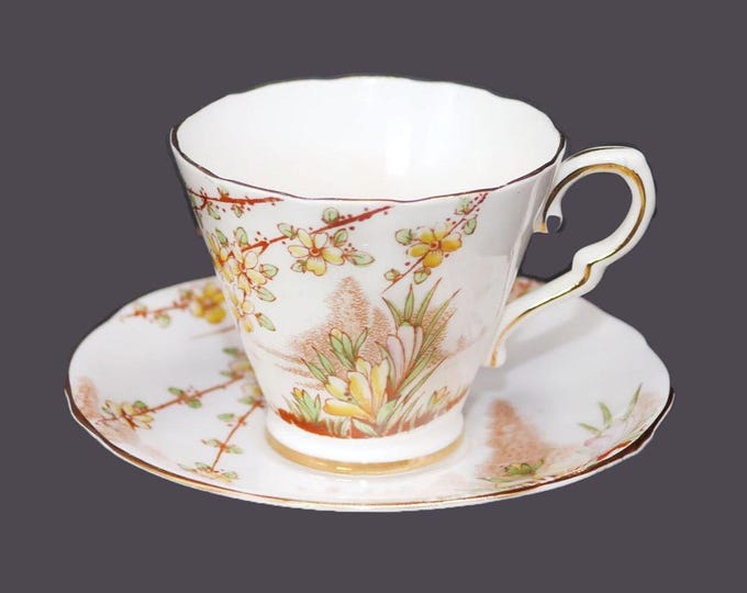 Gladstone China Crocus hand-painted cup and saucer set. Bone china made in England.