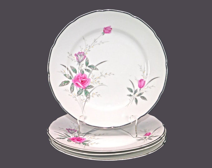 Four Fine China of Japan Breath O' Spring dinner plates.