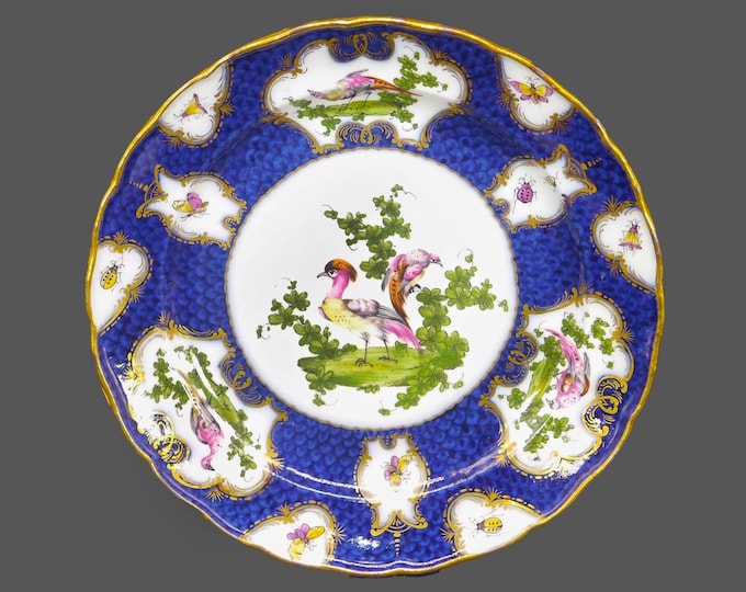 Antique Regency era Royal Worcester Chelsea Bird | Exotic Bird garniture plate. Cobalt, chelsea birds and insects in cartouches.