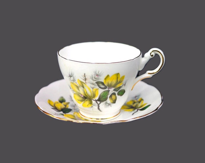 Regency Bone China RE47 cup and saucer set made in England.