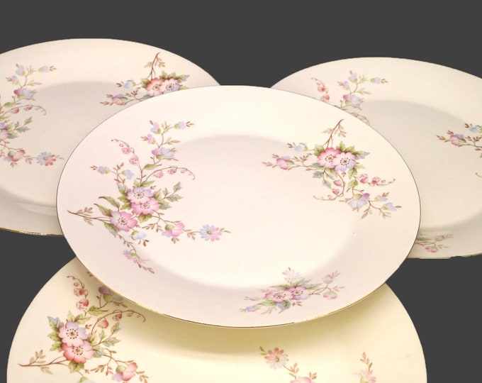 Sadler Apple Blossom dinner plates. Sadler Wellington line. Set of 4.
