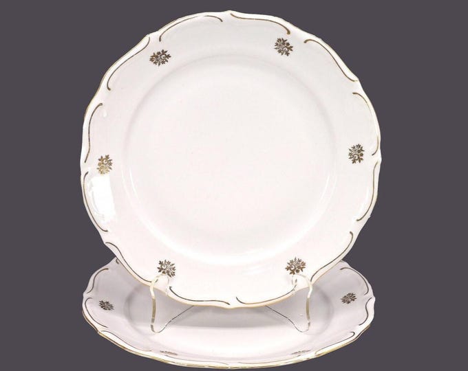 Pair of Walbrzych luncheon or small dinner plates made in Poland. Golden floral bouquet, embossed rim. Flaw (see below).