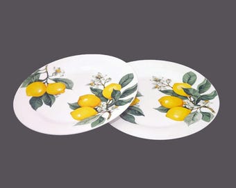 Vintage Royal Norfolk RNF122 dinner plates. Lemons on branch. 2 plates.