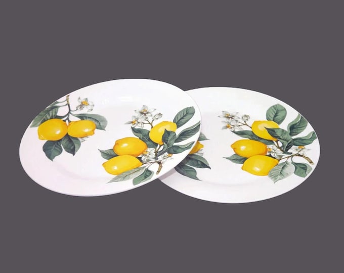 Pair of Royal Norfolk RNF122 dinner plates. Lemons on branch.
