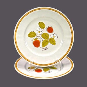 Pair of Hearthside Berries &#39;n Cream stoneware salad plates made in Japan.