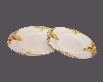 Vintage pair of Crownford Ford & Sons Eden plates made in England. Flaws. Rare.