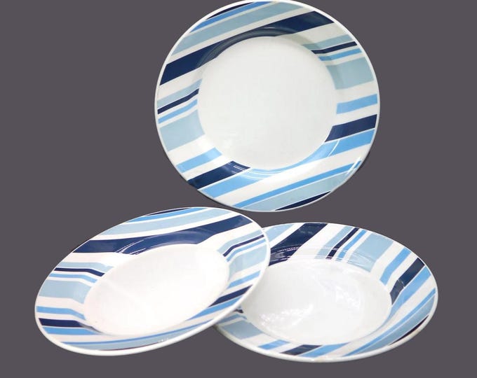 Pier 1 Marea dinner plates made in Italy. Blue stripes on white. Flaw (see below).