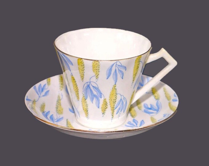 Royal York Salisbury Bone China 414 cup and saucer set made in England.