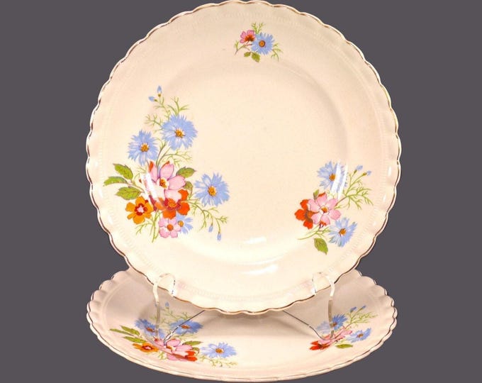Pair of antique Edwardian Age J&G Meakin Peveril luncheon plates. Sol Sunshine ironstone made in England.
