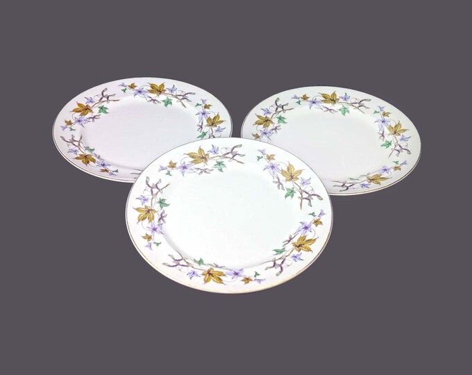 Three Wedgwood WW225 dinner plates made in England.