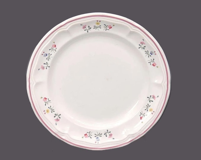 Dynasty Provence stoneware salad plate made in Japan. Sold individually.