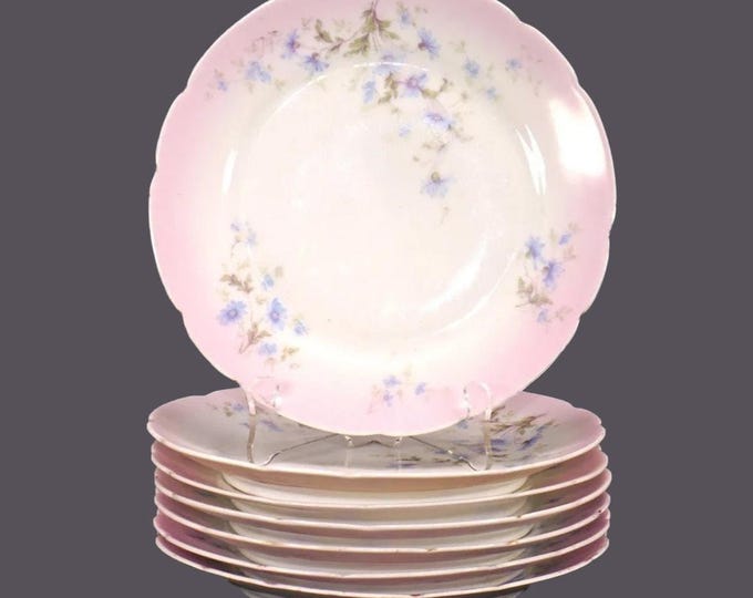Seven antique Victorian-era numbered porcelain dessert plates. Graduated pink, blue florals.