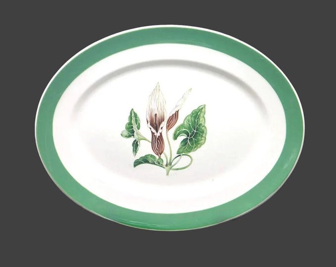 Vintage Myott Molly O'Day oval turkey platter. AC Williams design England.