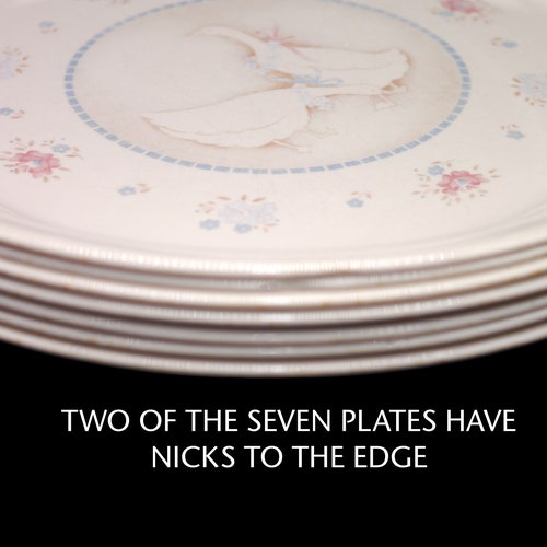 Seven shops Corelle Corningware Country Promenade dinner plates made in the USA. Flaws (see below).