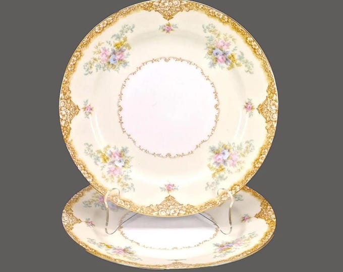 Pair of Noritake | Morimura | hand-painted Nippon Encina luncheon plates made in Japan.